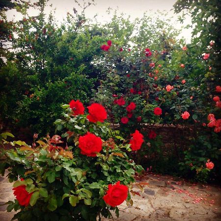 La Casa Rossa Ξενοδοχείο Πρίνος Εξωτερικό φωτογραφία