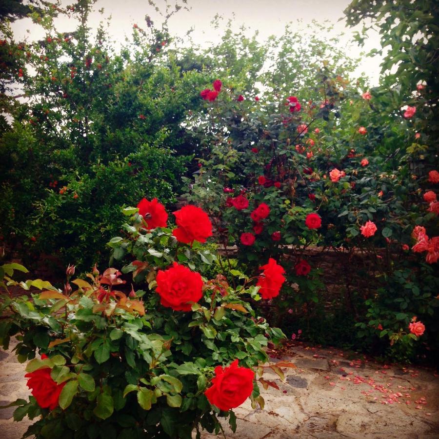 La Casa Rossa Ξενοδοχείο Πρίνος Εξωτερικό φωτογραφία